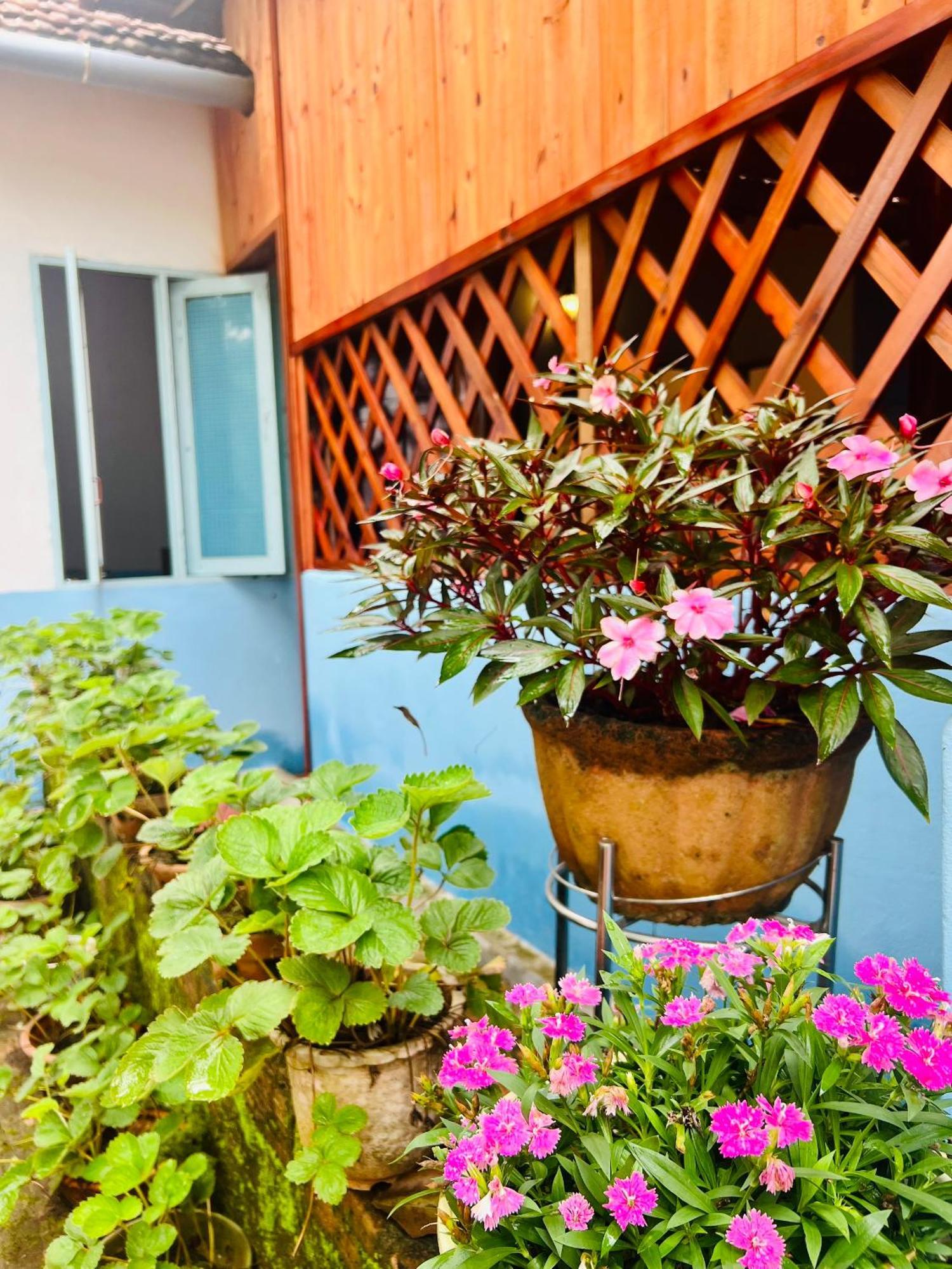 Vietnam Phuot Real Home Tỉnh Kontum Szoba fotó